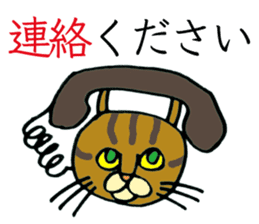 Soooo cute! cats sticker. sticker #11690128