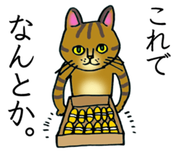 Soooo cute! cats sticker. sticker #11690136