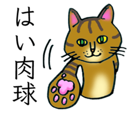 Soooo cute! cats sticker. sticker #11690137