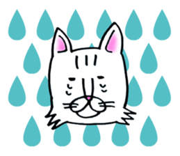 Soooo cute! cats sticker. sticker #11690154