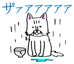 Soooo cute! cats sticker. sticker #11690155