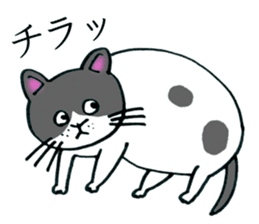 Soooo cute! cats sticker. sticker #11690157