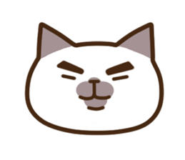 Funny Funny Siamese cat sticker #11690688