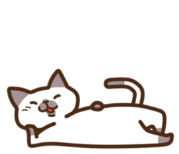 Funny Funny Siamese cat sticker #11690692