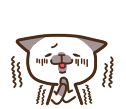 Funny Funny Siamese cat sticker #11690698