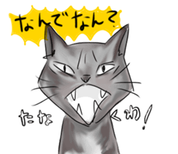 Cute cat Sticker of Tanaka 's house sticker #11692884