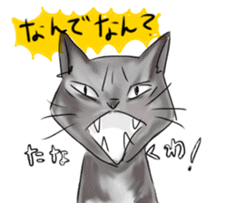 Cute cat Sticker of Tanaka 's house sticker #11692884
