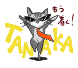 Cute cat Sticker of Tanaka 's house sticker #11692889
