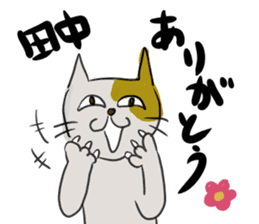 Cute cat Sticker of Tanaka 's house sticker #11692914