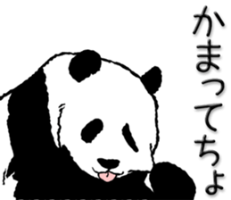 Pandan(Nagoya diaect) sticker #11693987