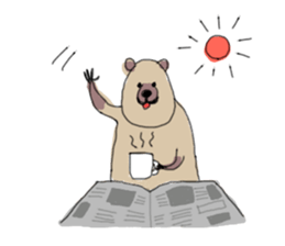 Quokka Sticker sticker #11695226