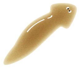the Planarian sticker #11695440