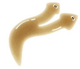 the Planarian sticker #11695442