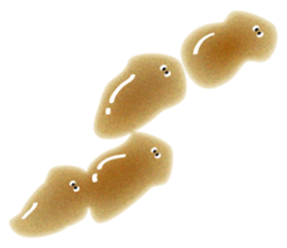 the Planarian sticker #11695443