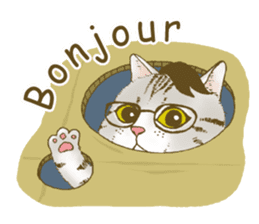 Hipster Meow (EN) sticker #11695800