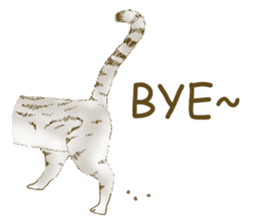 Hipster Meow (EN) sticker #11695802