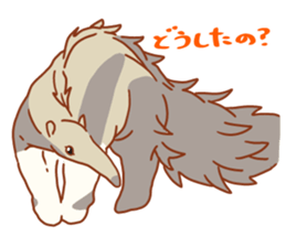 Bushy Ant-eater sticker #11697195