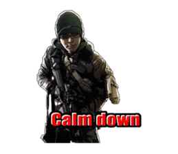 DOWNFALL FPS Military sticker #11697603