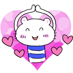 A cat and good friend