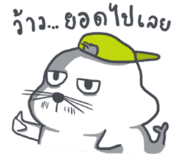 Seal : Water Cat sticker #11699609