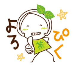 Machako of green tea. Nostalgic words. sticker #11699895