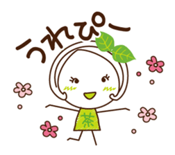 Machako of green tea. Nostalgic words. sticker #11699918