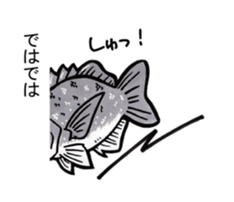 Black porgy Sticker sticker #11700315