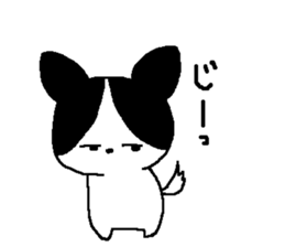 jackey sticker #11700845