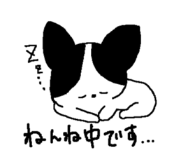 jackey sticker #11700849