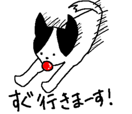 jackey sticker #11700853