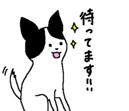 jackey sticker #11700860