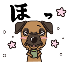 iinu - Border Terrier sticker #11704803