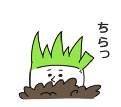 Leek-new- sticker #11705741