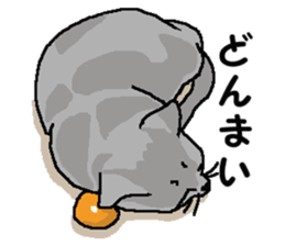 New type "Gal" 2 sticker #11706203