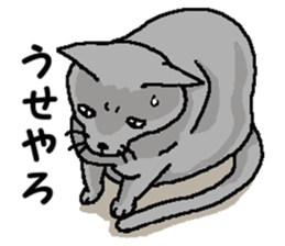 New type "Gal" 2 sticker #11706208