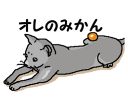 New type "Gal" 2 sticker #11706209