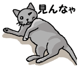 New type "Gal" 2 sticker #11706210