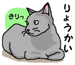 New type "Gal" 2 sticker #11706220