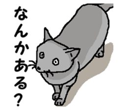 New type "Gal" 2 sticker #11706229