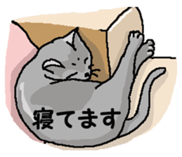 New type "Gal" 2 sticker #11706237