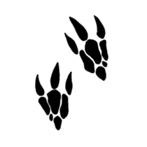 feelings of dinosaur sticker #11707759