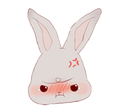 Bunnies Stories sticker #11708362