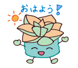 succulent plants's family sticker #11708600