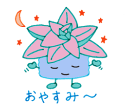 succulent plants's family sticker #11708604