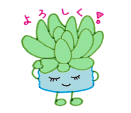 succulent plants's family sticker #11708612
