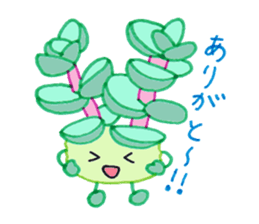 succulent plants's family sticker #11708616