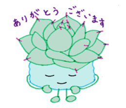 succulent plants's family sticker #11708617