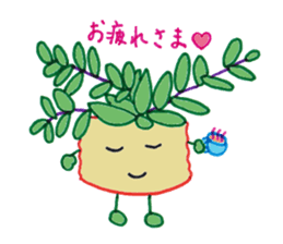 succulent plants's family sticker #11708624