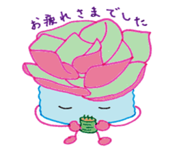 succulent plants's family sticker #11708625