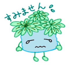 succulent plants's family sticker #11708627